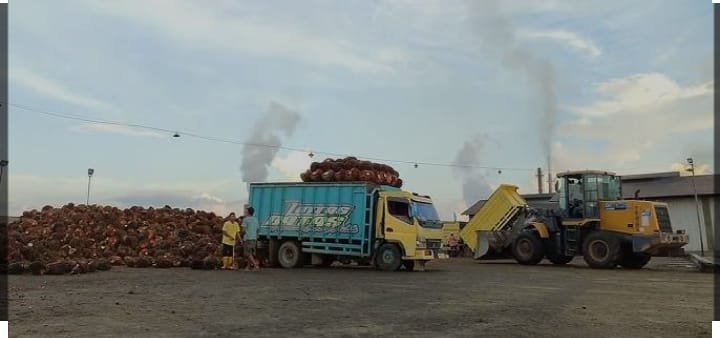 Aktivitas bongkar muat di PT SGN (ist)