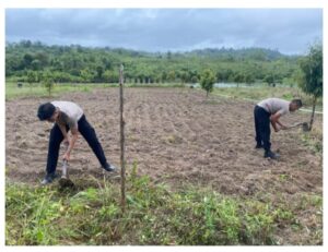 Polres Natuna dan Polsek Jajaran Dukung Program Ketahanan Pangan dengan Penanaman Jagung