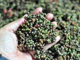 Usai RUU Komoditas Strategis, Haminjon dan Andaliman Harus Dilindungi dalam RUU Komoditas Khas