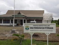 Pelaksana Disinyalir Tak Becus Laksanakan Pengadaan Sapi, Namun Disbunak Muarojambi Malah Bungkam