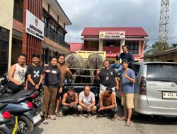 Polres Merangin Tangkap Tiga Pelaku Spesialis Pencurian Hewan Ternak