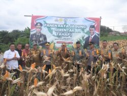Wabup Merangin Bersama Kapolres Panen Raya Jagung Wujudkan Program Asta Cita Presiden Prabowo
