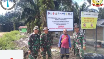 Satgas Garuda PKH Eksekusi Kebun Sawit PT Kirana Sekernan