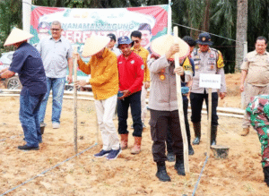 Wabup Bakhtiar Bersama Kapolres Batanghari Tanam Jagung Serentak 1 Juta Hektar di Seluruh Indonesia
