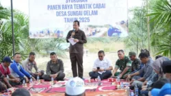 Bupati BBS Turun ke Ladang, Dukung Penuh Produktivitas Cabai di Muaro Jambi