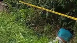 Heboh!!! Mayat Misterius Ditemukan di Semak Pinggir Jalan Sengeti, Polisi Turun Tangan