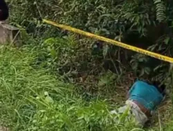 Heboh!!! Mayat Misterius Ditemukan di Semak Pinggir Jalan Sengeti, Polisi Turun Tangan